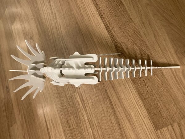 Styracosaurus 3D puzzle kit card - Image 2